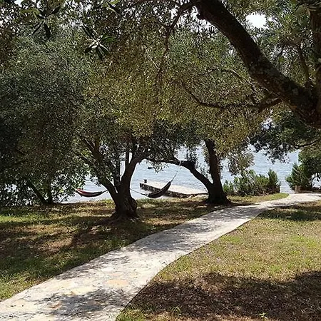 Beachfront House Nella With Full Privacy Jasenice (Zadar)