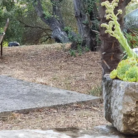 Beachfront House Nella With Full Privacy Lejlighed *