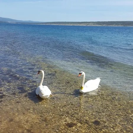 Lejlighed Beachfront House Nella With Full Privacy