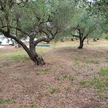 Beachfront House Nella With Full Privacy Lejlighed Jasenice (Zadar)