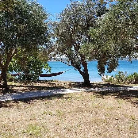 Lejlighed Beachfront House Nella With Full Privacy Jasenice (Zadar)