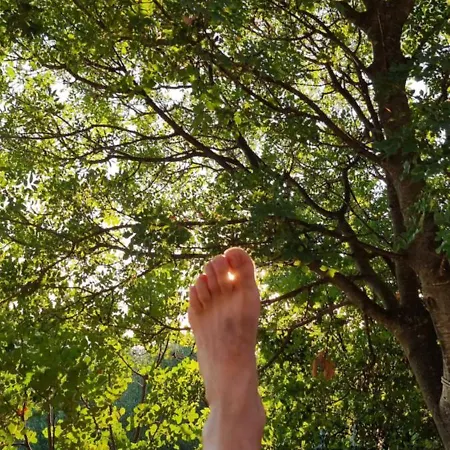 Lejlighed Beachfront House Nella With Full Privacy Jasenice (Zadar)