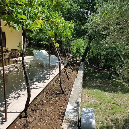 Apartment Beachfront House Nella With Full Privacy Jasenice (Zadar)