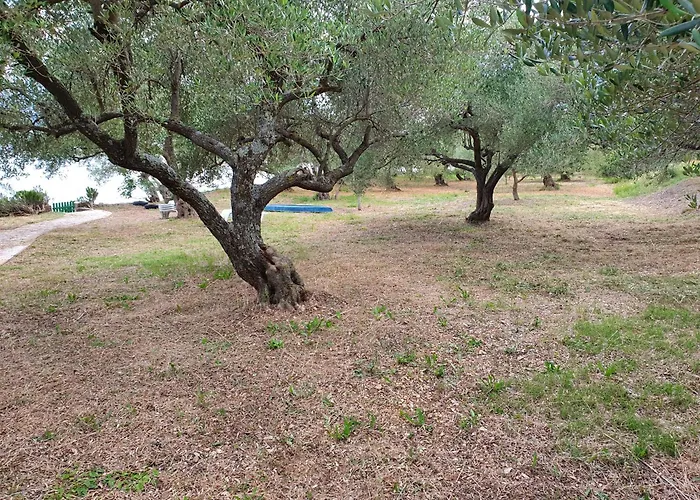 Beachfront House Nella With Full Privacy Apartment Jasenice (Zadar)