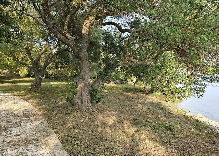 Beachfront House Nella With Full Privacy