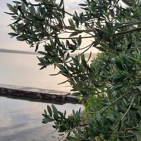 Beachfront House Nella With Full Privacy Apartment Jasenice (Zadar)