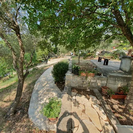 Beachfront House Nella With Full Privacy Appartamento