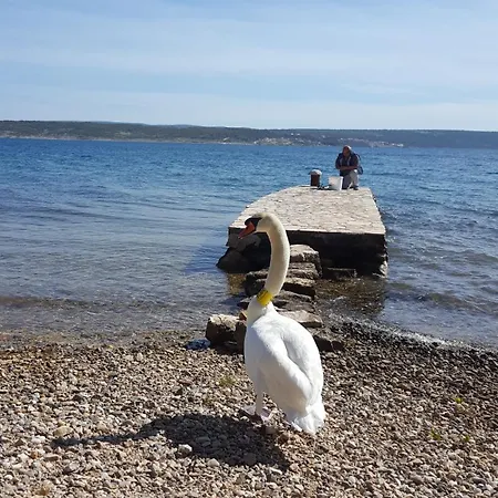 アパート Beachfront House Nella With Full Privacy