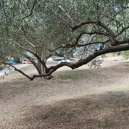 Beachfront House Nella With Full Privacy *