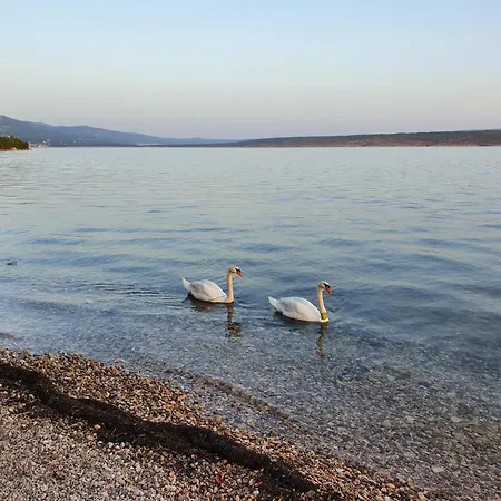 アパート Beachfront House Nella With Full Privacy