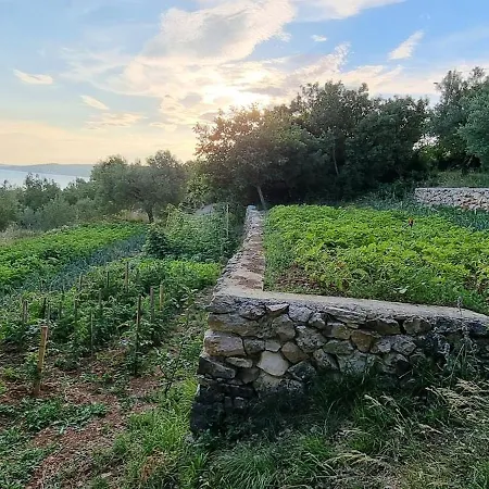 Beachfront House Nella With Full Privacy *