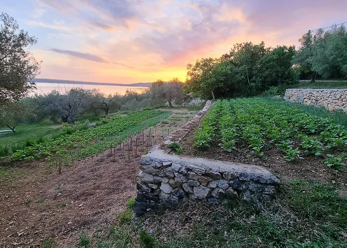 Апартаменты Beachfront House Nella With Full Privacy *