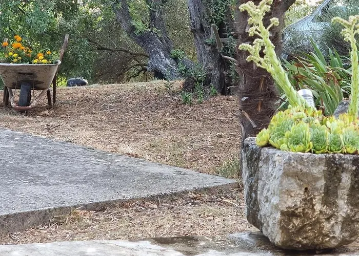 Beachfront House Nella With Full Privacy Апартаменты *