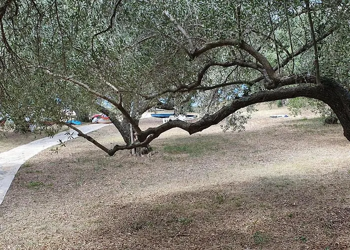 Beachfront House Nella With Full Privacy *